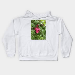 Flowers, plant photography, green leaves cute floral Kids Hoodie